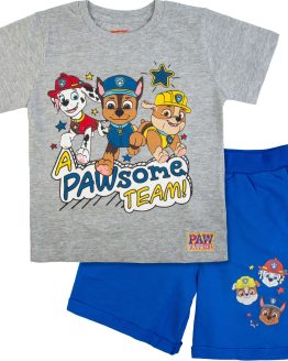 komplet letni dla chłopca z bajki psi patrol krótkie spodenki szorty niebieskie z kieszeniami i szara koszulka krótki rękaw z nadrukiem piesków t-shirt